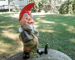 The Drunk Gnome