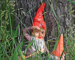 Garden Gnome Thumbnail