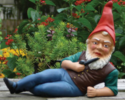 German Gnome Thumbnail