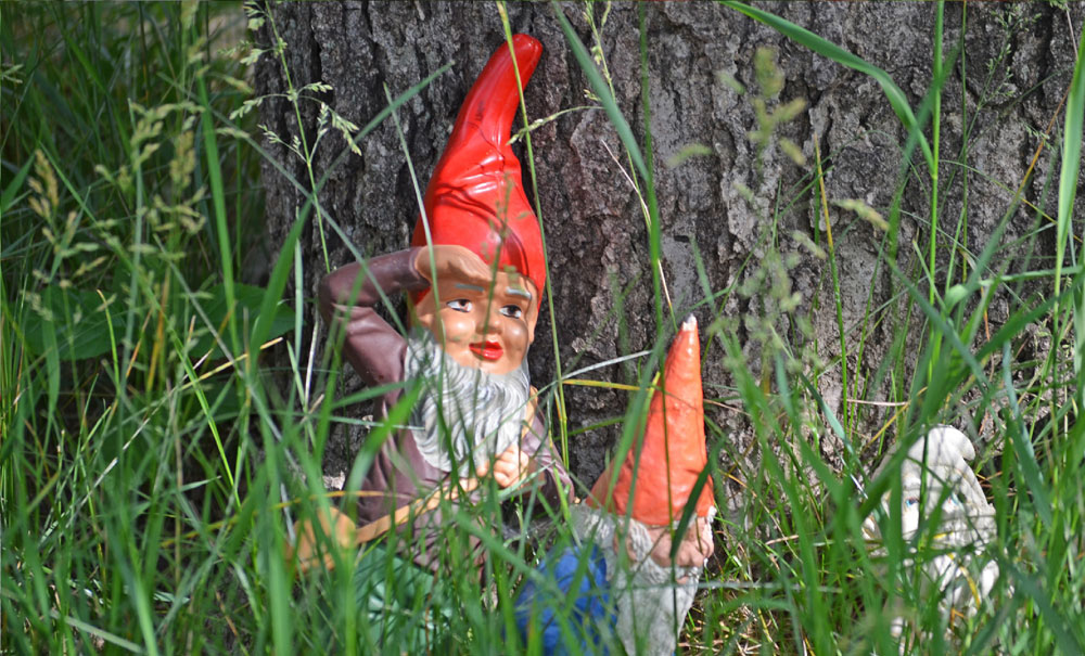 gnomes hiding in the wilderness